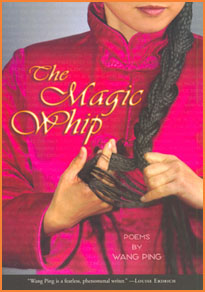 The Magic Whip